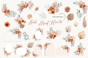 Dried Floral Pampas Grass Clipart