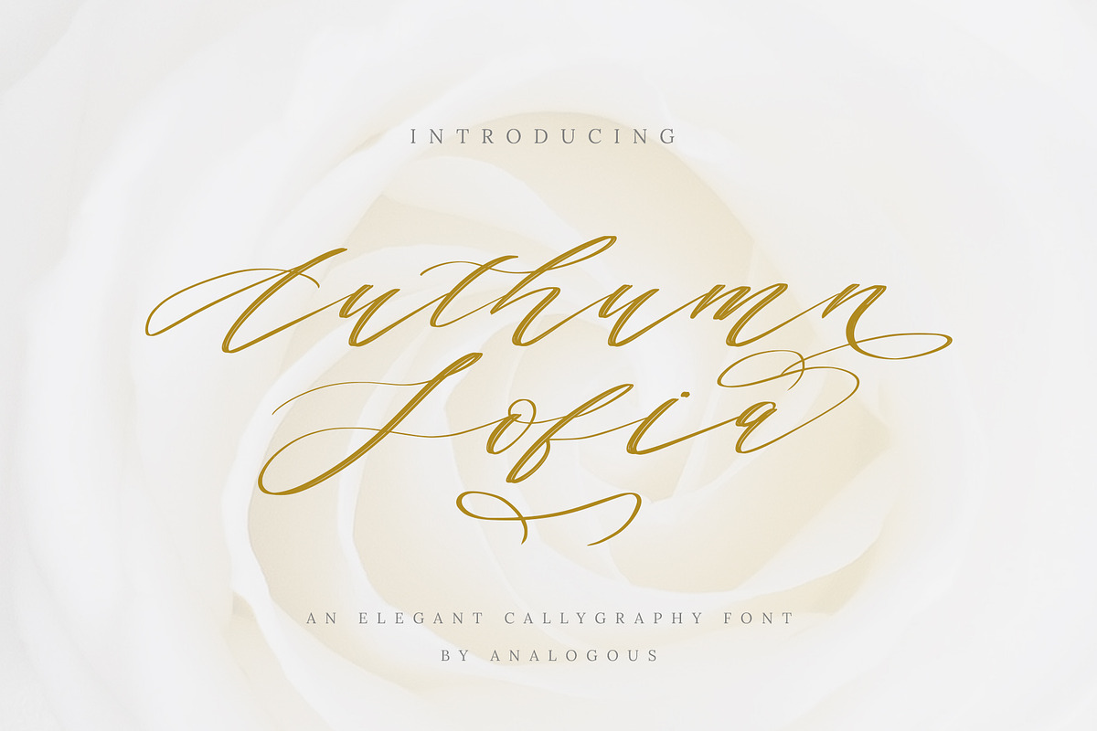 Authumn Sofia | Calligraphy Font, a Script Font by Analogous (Photo 16 of 16)