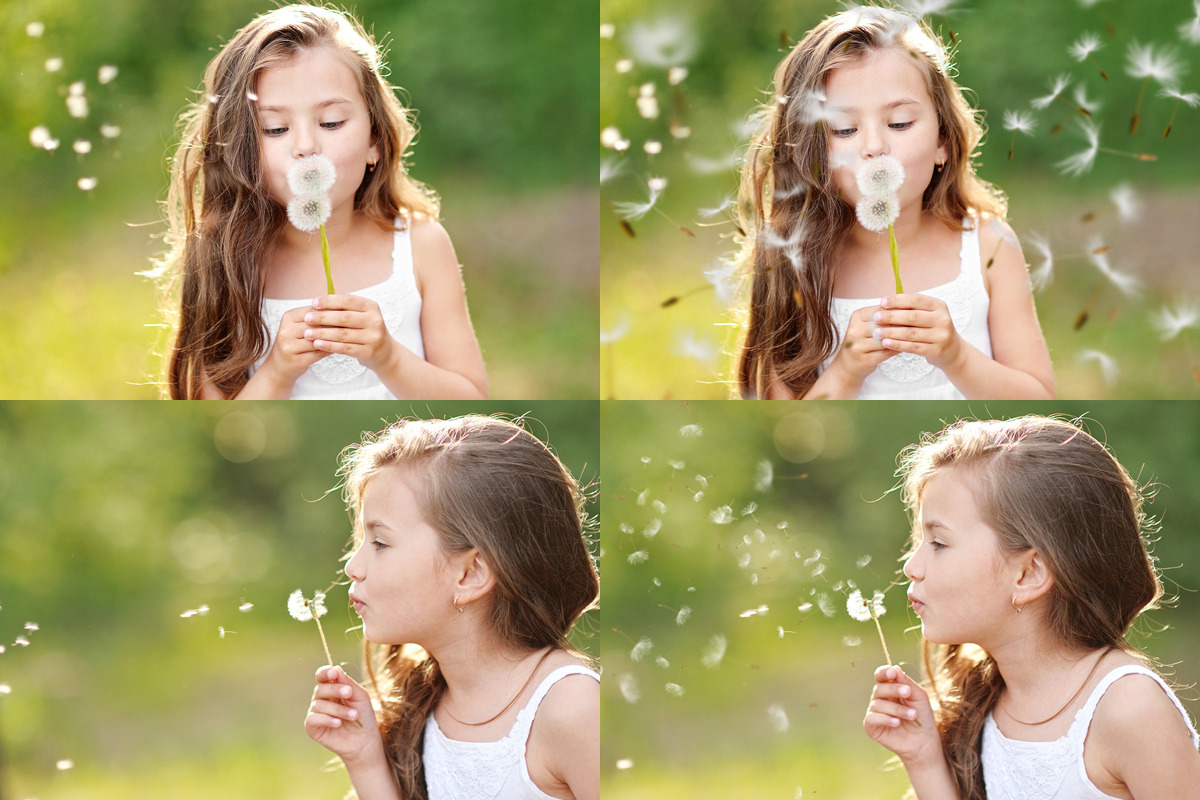 Dandelion Overlays, an Object Graphic by VligCreativeStudio (Photo 4 of 6)