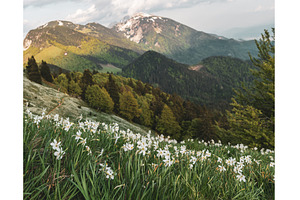 Beautiful mountain landscape with