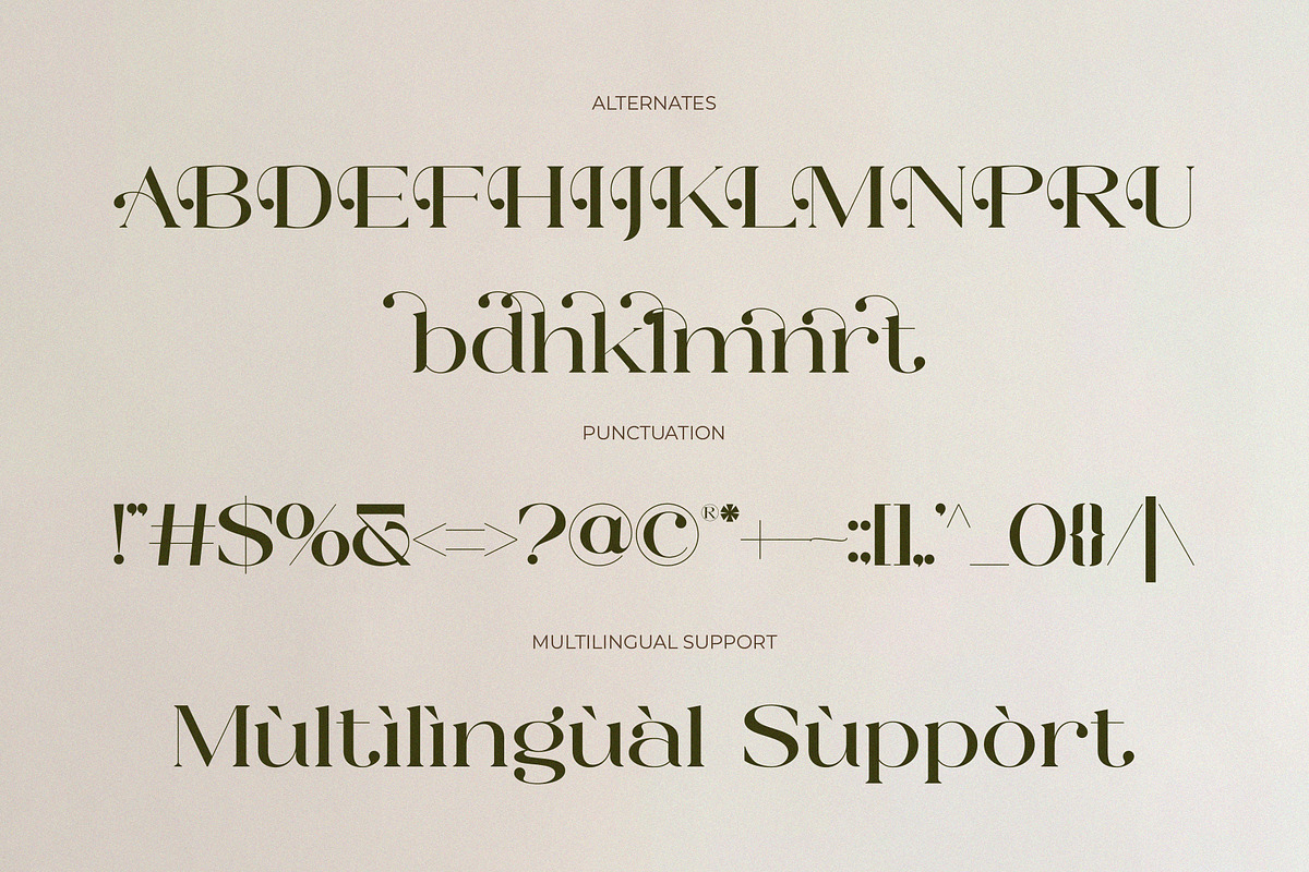 Allore - Modern Unique Serif, a Serif Font by Muflieart (Photo 9 of 10)