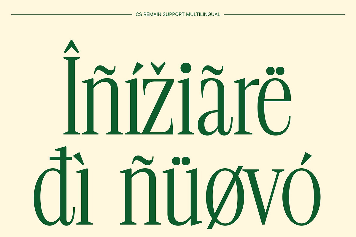 CS Remain – Classic Serif Font, a Serif Font by Craft Supply Co. (Photo 6 of 8)