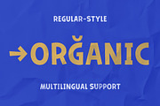 Letterizer, a Sans Serif Font by Max Glimm Type (Thumbnail 3 of 7)