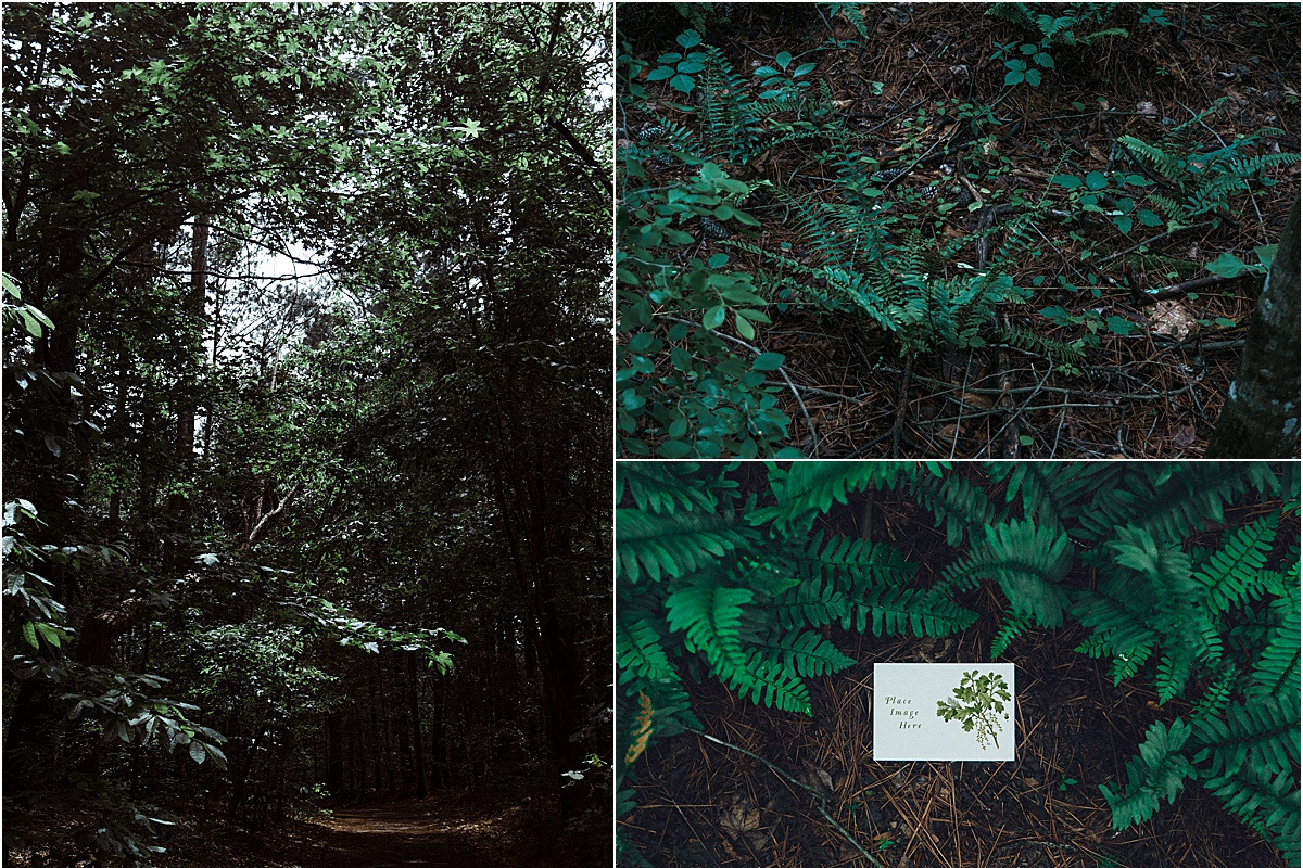 Foliage Frames Vol. 1 - Mockups, a Print Template by Wild Joy Studios (Photo 5 of 6)