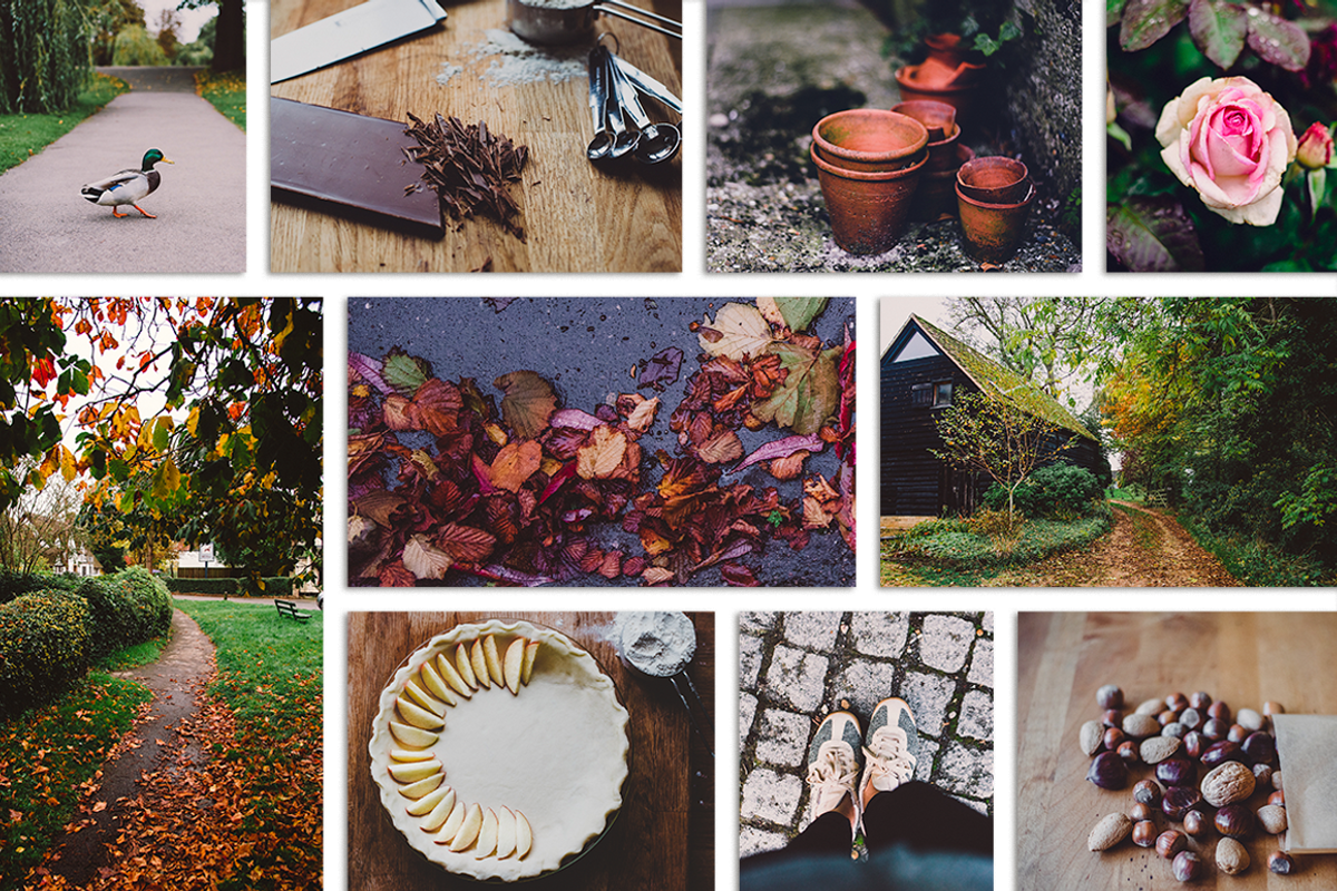 Fall-Inspired Photos & Quote Bundle, a Nature Photo by Crystal Wilkerson Designs (Photo 7 of 9)
