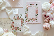 Blush Garden- Watercolor Floral set, a Texture Illustration by Grace Noboa Illustrations (Thumbnail 2 of 10)