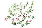 Branches, an Illustration by Watercolor life (Thumbnail 2 of 10)