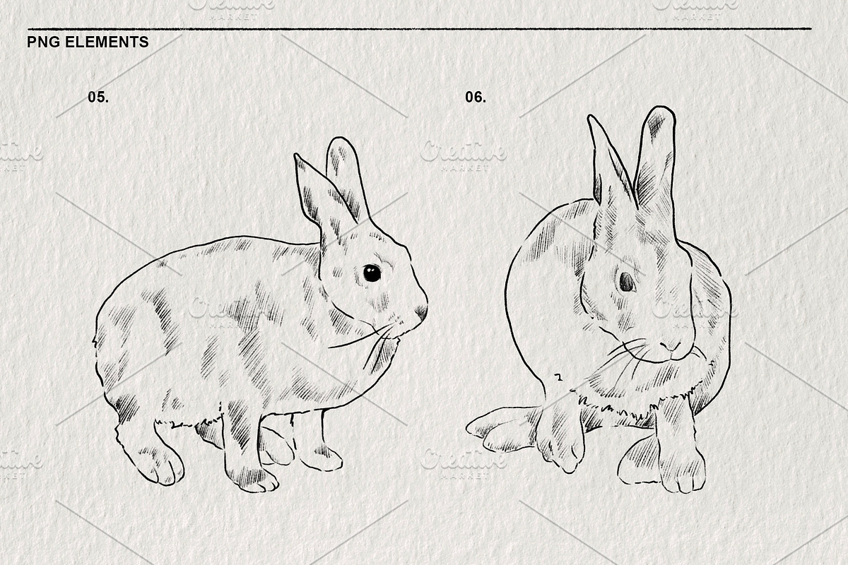 Pencil sketches of rabbit PNG, an Animal Illustration by LOKSKIH (Photo 5 of 5)
