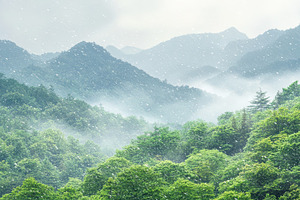 Misty forest mountains with a soft layer of fog and gentle snowfall, creating a, a Nature Photo by Mashimara