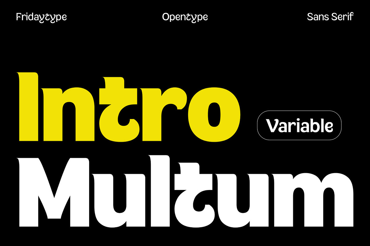 Multum - Distinctive Bold Sans, a Sans Serif Font by Fridaytype (Photo 1 of 12)