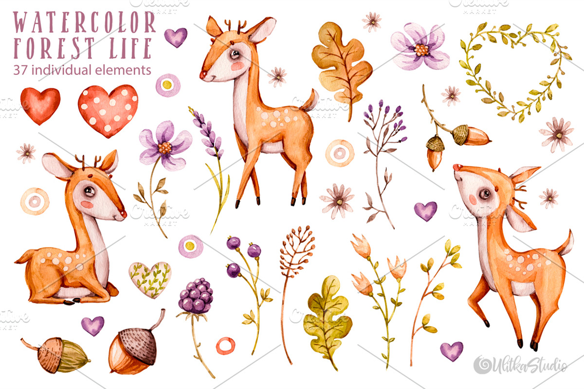 Forest Nursery Watercolor clipart, an Animal Illustration by UlitkaStudio (Photo 3 of 8)