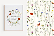 Meadow Botany. Watercolor Floral Set, a Healthcare Illustration by JulShuman (Thumbnail 2 of 11)