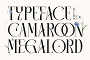 Camaroon Megalord Serif Display Font, a Serif Font by Storytype Studio (Thumbnail 15 of 15)