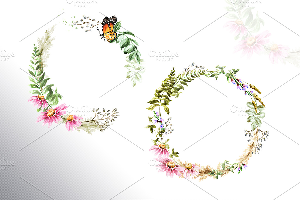 Wildflowers, a Decorative Illustration by Daria Ustiugova (Photo 8 of 14)