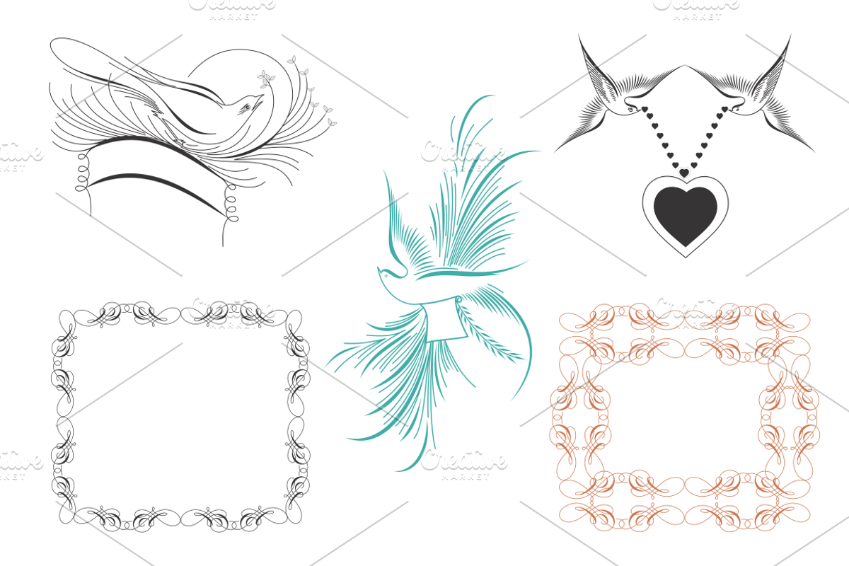 Zanner Birds Vector Collection Boxes preview 2