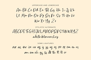 Tearoma - Handwritten Display Font, a Script Font by overlaytemplates (Thumbnail 4 of 5)