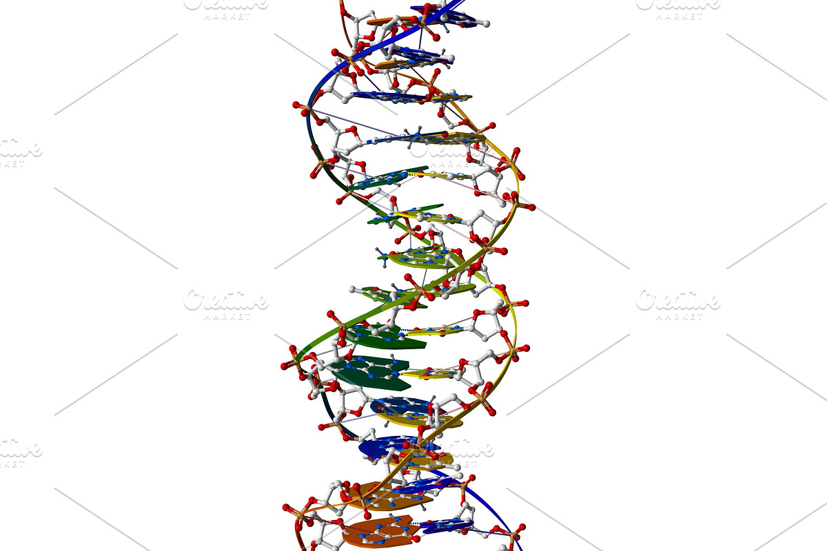 DNA macromolecule, a Healthcare Illustration by Leonid Andronov