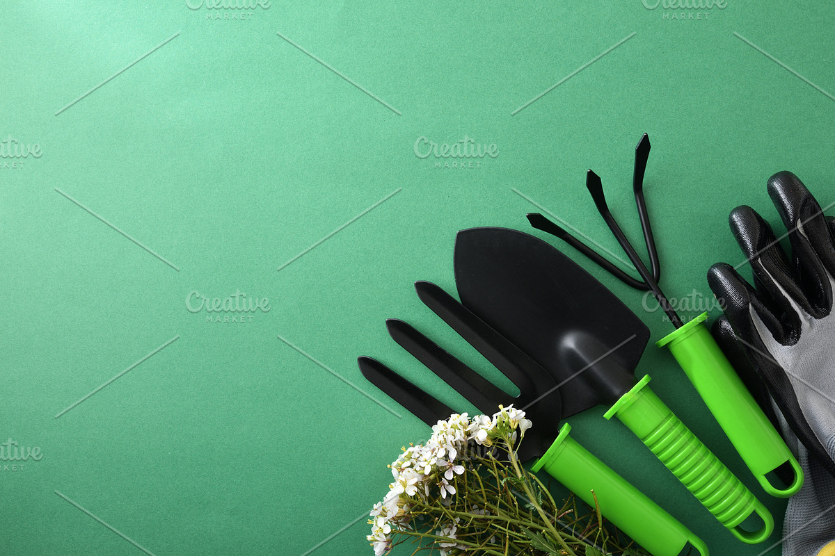 Garden Tools, Gloves and Flowers Flat Lay, a Nature Photo by Davizro's Market (Photo 2 of 2)