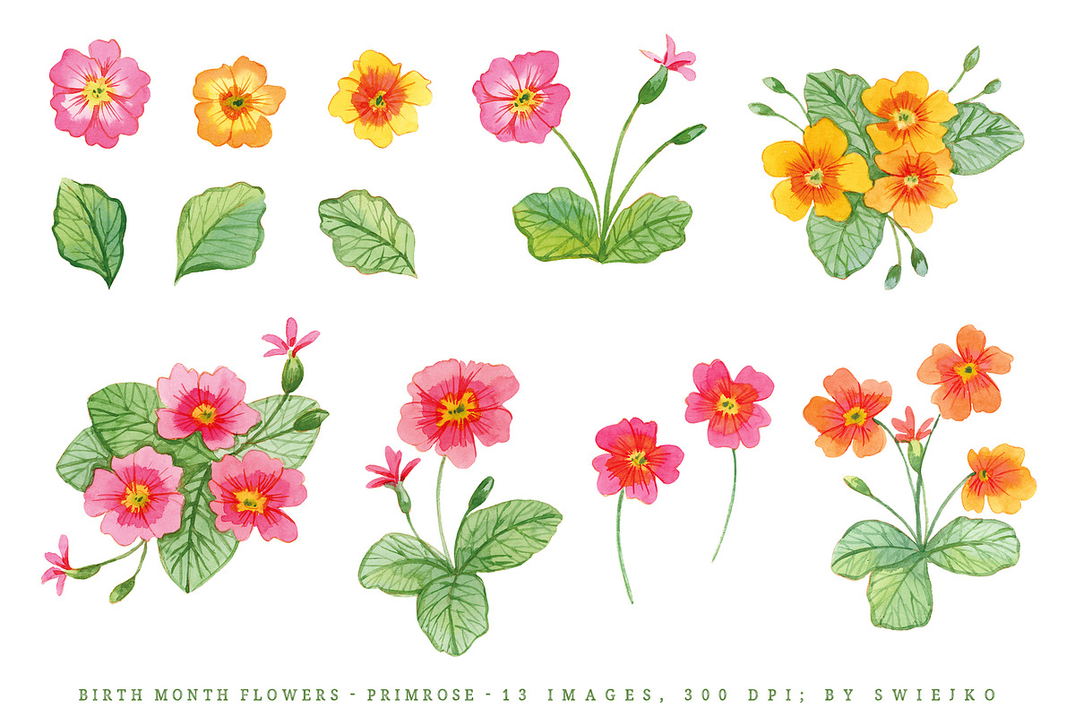 Birth Month Flowers - Primrose, a Decorative Illustration by swiejko (Photo 3 of 12)