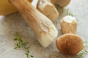 Fresh penny bun mushrooms with thyme on gray background, a Food & Drink Photo by Olena Rudo