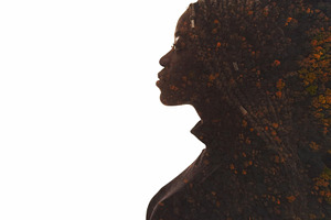 Nature conscious ecology silhouette forest woman, a Person Photo by Photo Drive Studio