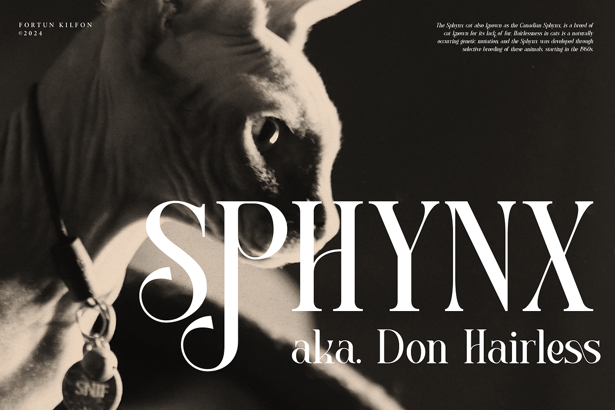 Fortun Kilfon | Modern Elegant Serif, a Serif Font by Denustudios (Photo 7 of 15)