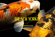 Bagel Typography, a Serif Font by Types&Toast (Thumbnail 9 of 16)