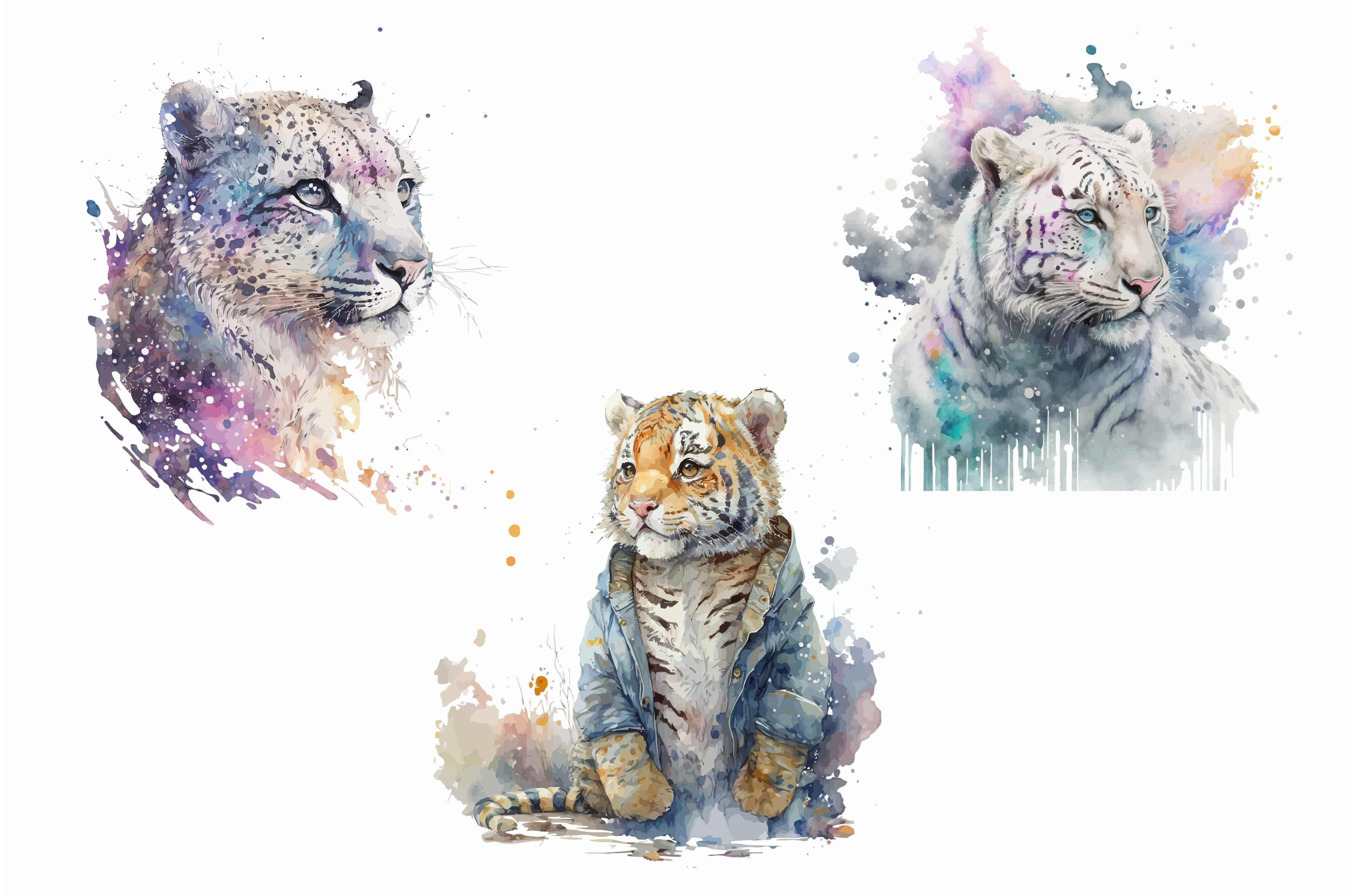 Safari Animal set Snow leopard | Illustrations ~ Creative Market