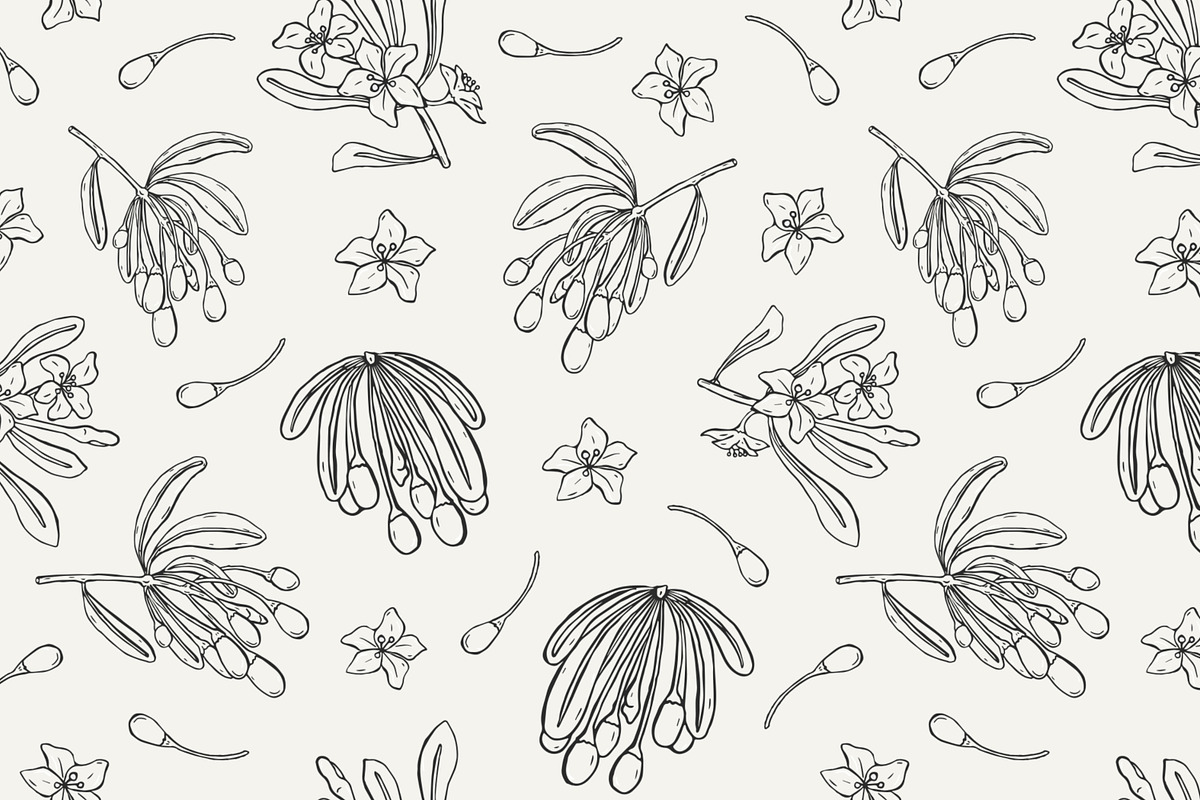 Goji berries set, seamless patterns, a Food Illustration by Good Studio (Photo 4 of 9)