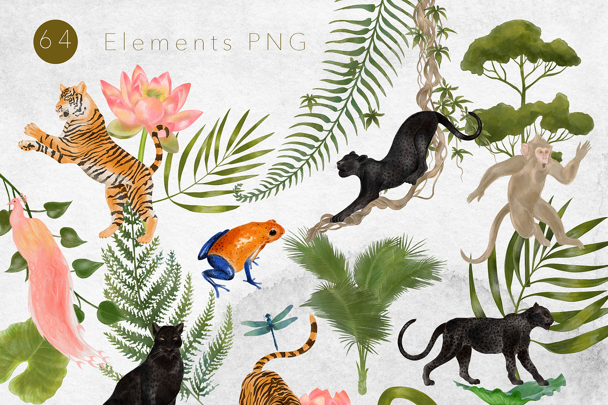 Jungle Book Watercolor Clipart, an Animal Illustration by mila_leev (Photo 2 of 6)