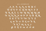 Ransta Modern Serif Font, a Serif Font by Multype Studio (Thumbnail 12 of 12)