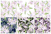 Watercolor clipart white lilies, an Illustration by EshaStudio (Thumbnail 6 of 11)