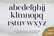 Elegant Seasons Font Duo, a Script Font by Lucky Type (Thumbnail 21 of 25)