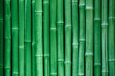 Blades Of Grass Stock Photograph preview 4