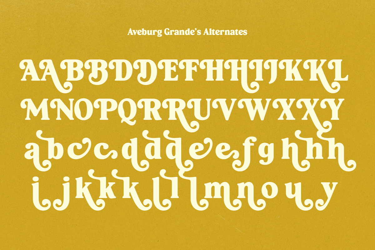 Aveburg Grande - Retro Chunk, a Serif Font by Shapespired Design (Photo 20 of 22)
