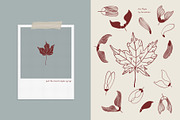 It's Autumn - fruits and foliage, a Seasonal Illustration by Annakniaz (Thumbnail 13 of 15)