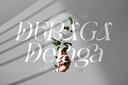 Deraga Modern & Stylish Font, a Serif Font by Storytype Studio (Thumbnail 2 of 10)