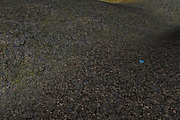 AUTUMN AND WINTER TEXTURE PACK, a Textures & Material 3D Model by Beatheart Creative Studio (Thumbnail 43 of 58)