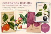80 Fruits & Vegetables, an Object Graphic by The Object Atlas (Thumbnail 8 of 10)