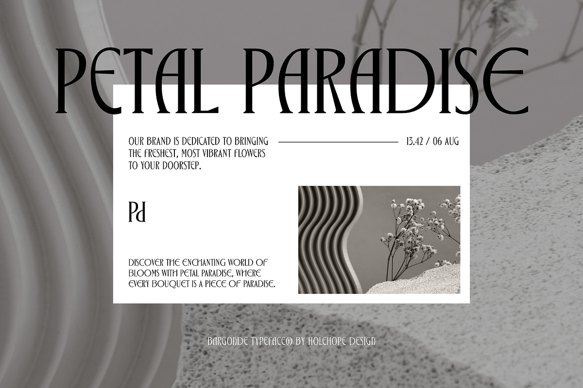 Bargonde | Elegant Serif Condensed, a Serif Font by Hole Hope Design (Photo 11 of 20)