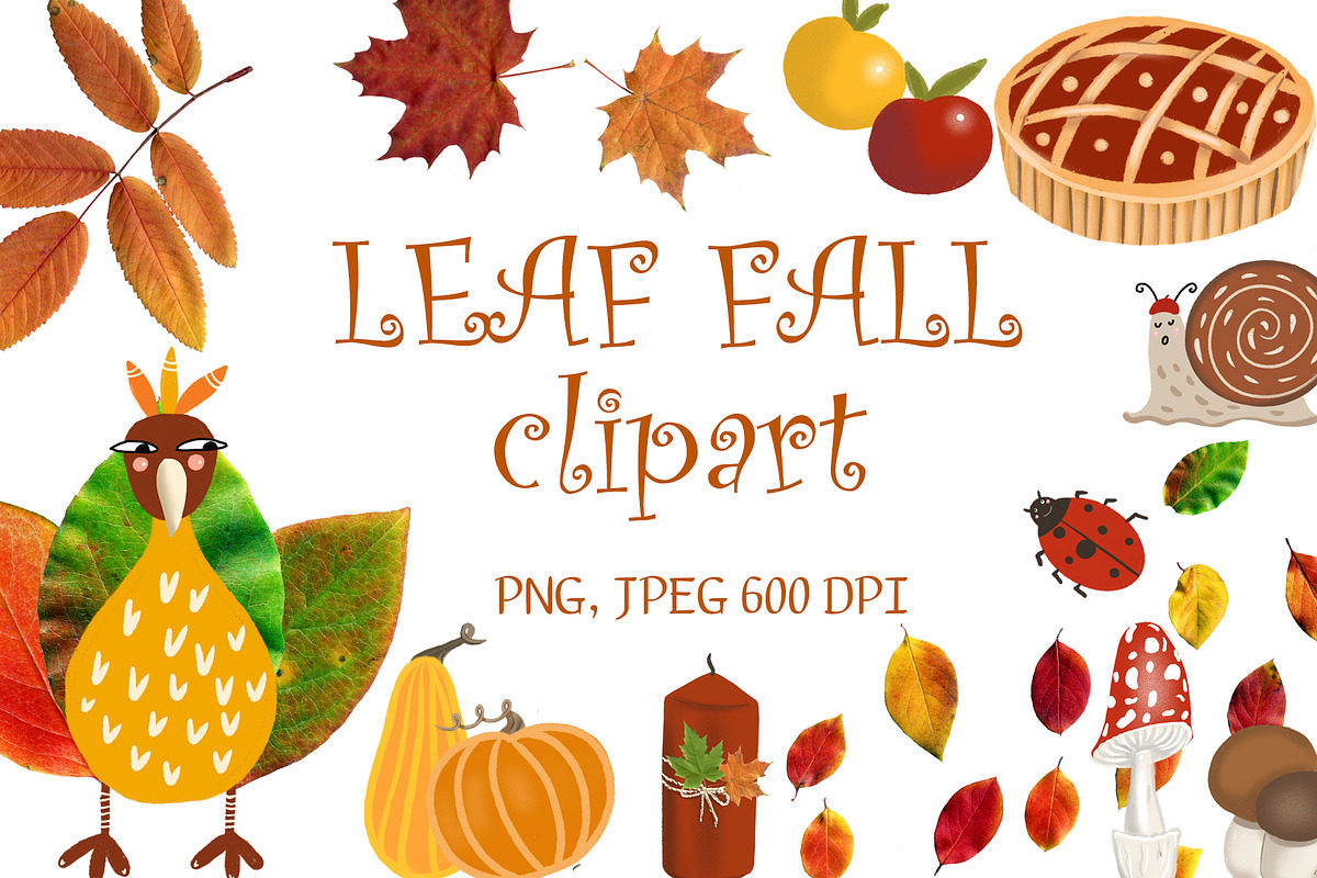 Dried Herbarium Thanksgiving leaves, an Animal Illustration by NataLyaroArt (Photo 2 of 13)