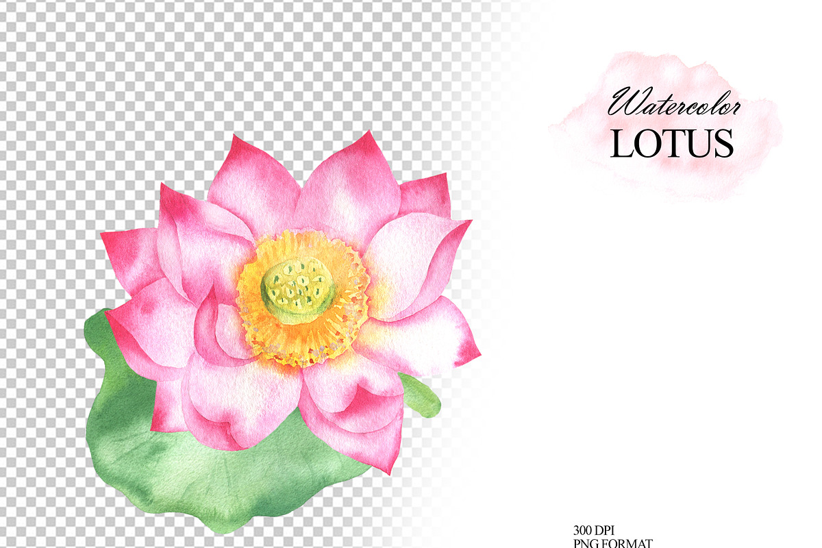 Watercolor lotus flower clipart, an Illustration by OlDm_Shop (Photo 7 of 10)
