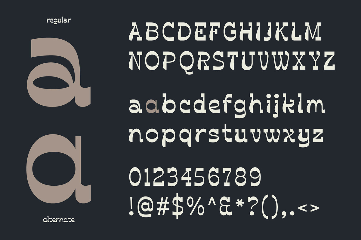 Darleco | Experimental Slab Display, a Slab Serif Font by Hole Hope Design (Photo 4 of 10)