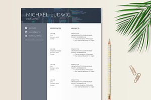 Tech Resume Template Developer