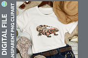 Lizard Illustration Bundle, 21 PNG, an Animal Illustration by Enliven Designs (Thumbnail 5 of 9)