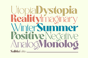Salitia - 6 Font and Swash, a Serif Font by Dharmas Foundry (Thumbnail 3 of 16)