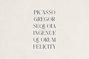 Zyntro – Elegant High-Contrast Serif, a Serif Font by Only Fonts (Thumbnail 5 of 11)