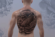 Koi Carp Fish Designs for Procreate, a Brush Add-On by Torus1 (Thumbnail 2 of 8)