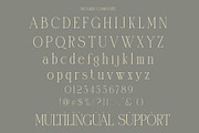 Blunder Modern Serif Typeface, a Serif Font by Alfinart (Thumbnail 8 of 10)