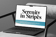 The Effolia | 9-Weight Classy Family, a Serif Font by Pista Mova (Thumbnail 20 of 31)